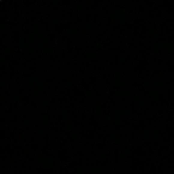 Meet your Posher, Aaliyah - Picture 1 of 1